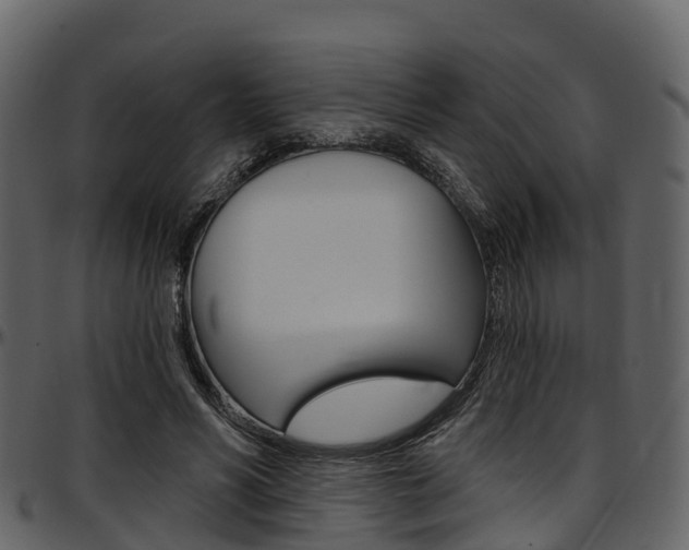 X0000097610590200802290758