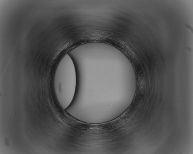 X0000097610591200802290758