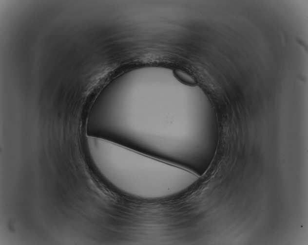 X0000097610592200802290758