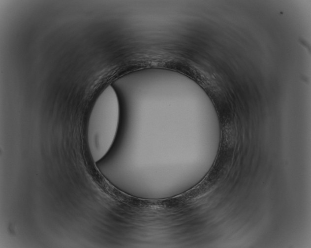 X0000097610594200802290758