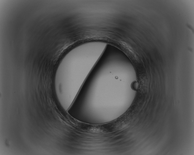 X0000097610596200802290758