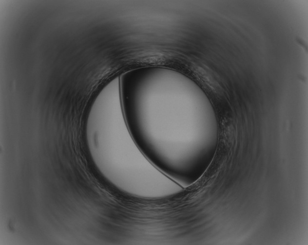 X0000097610597200802290758