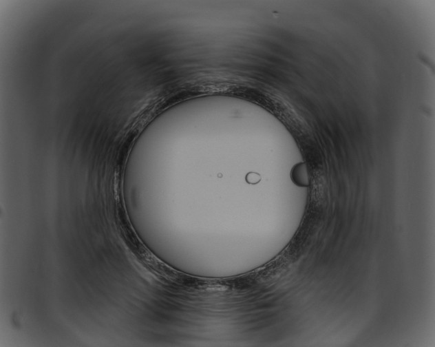 X0000097610598200802290758