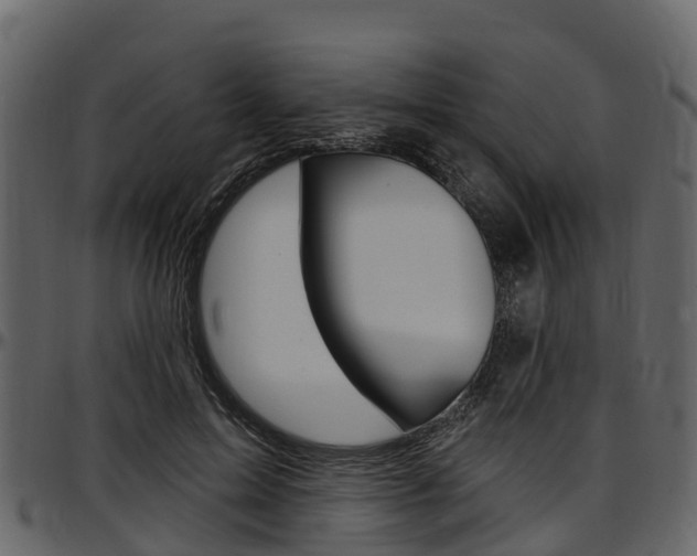 X0000097610599200802290758