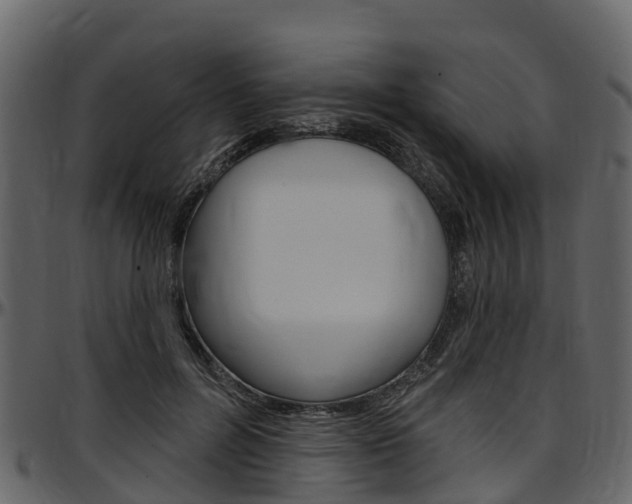 X0000097610600200802290758