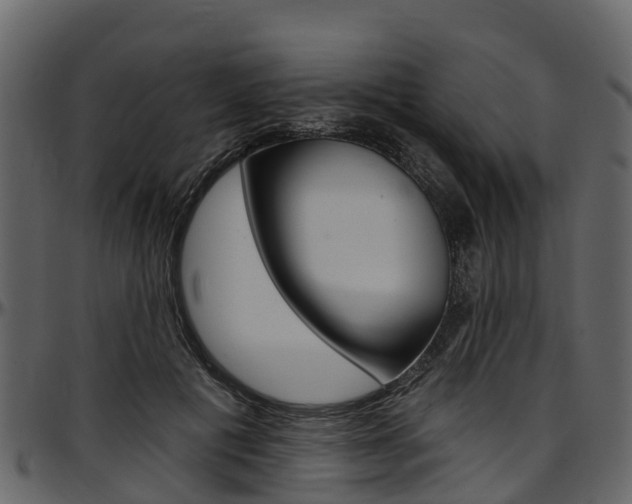 X0000097610601200802290758
