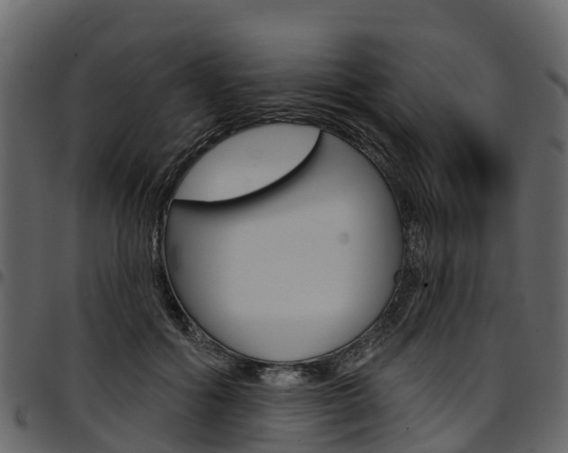 X0000097610602200802290758