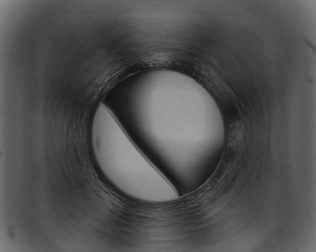 X0000097610604200802290758