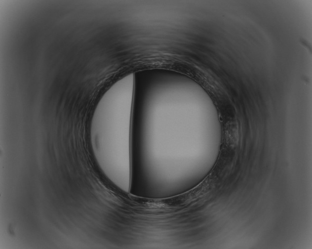X0000097610605200802290758