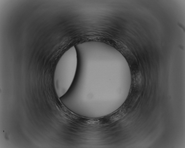 X0000097610606200802290758