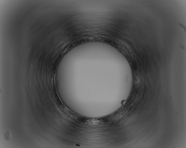 X0000097610607200802290758