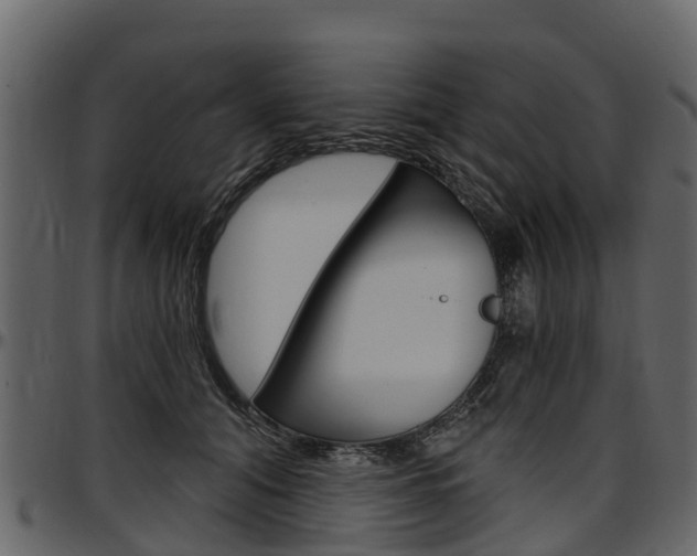 X0000097610608200802290758