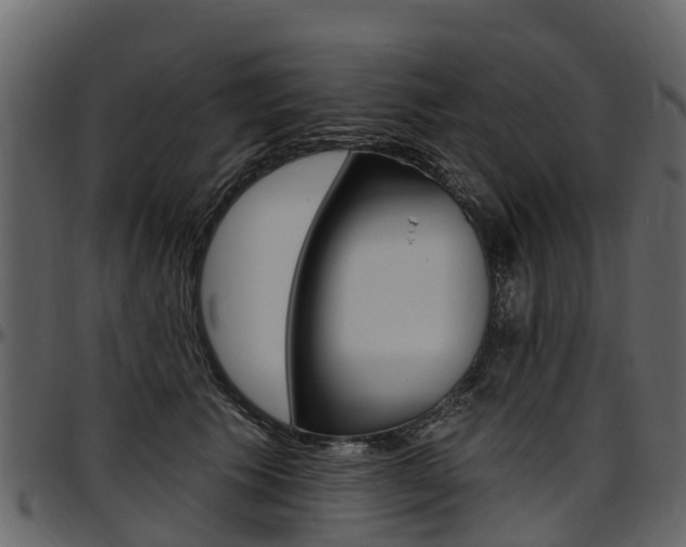 X0000097610609200802290758