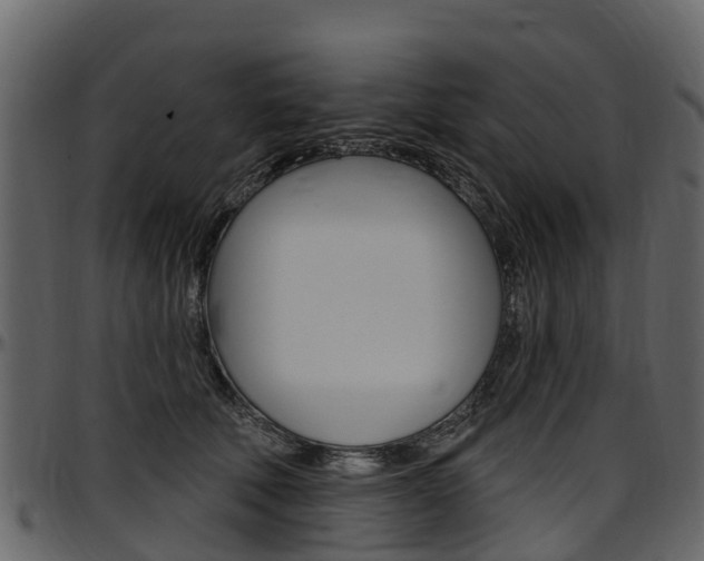 X0000097610610200802290758