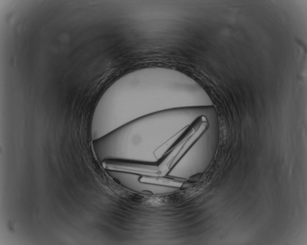 X0000097610611200802290758