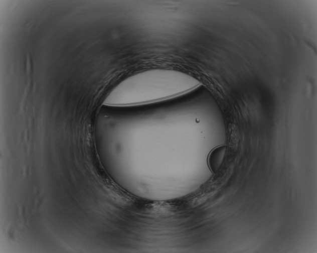 X0000097610612200802290757