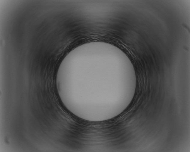 X0000097610613200802290757