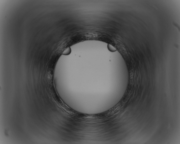 X0000097610614200802290757