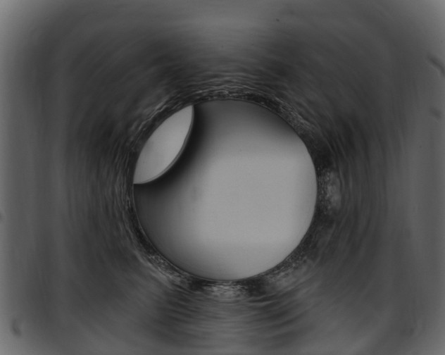 X0000097610615200802290757