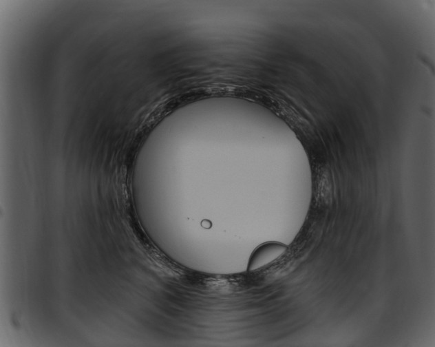 X0000097610616200802290757