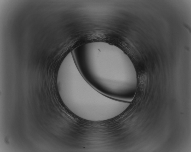 X0000097610617200802290757