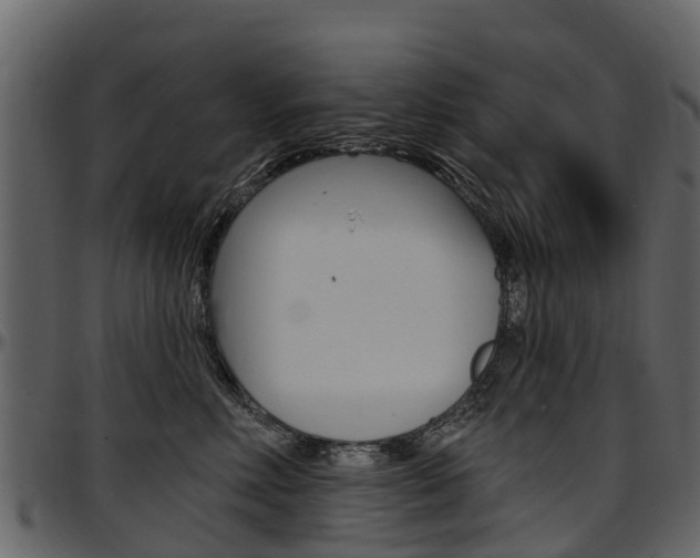 X0000097610618200802290757