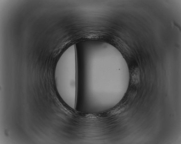 X0000097610620200802290757