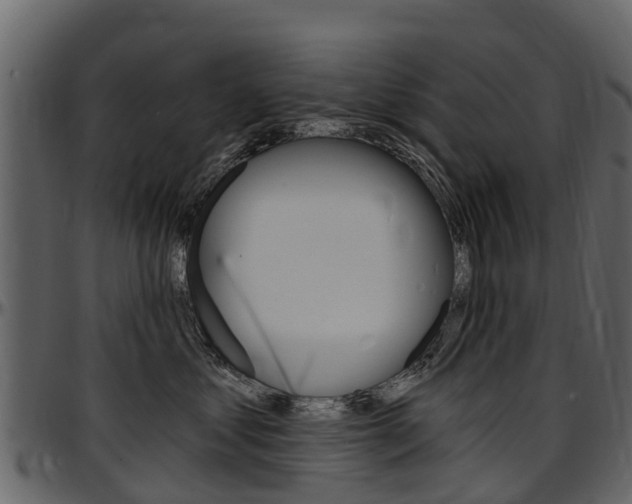 X0000097610621200802290757
