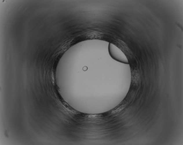 X0000097610622200802290757