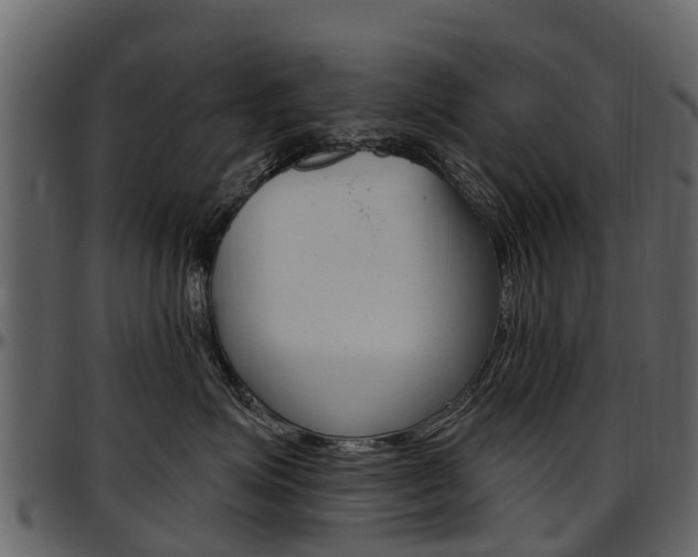 X0000097610623200802290757