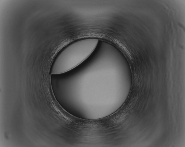 X0000097610625200802290756