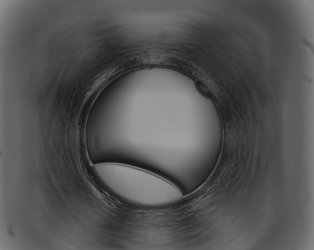 X0000097610626200802290756