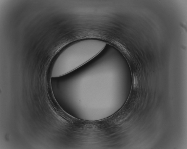 X0000097610627200802290756