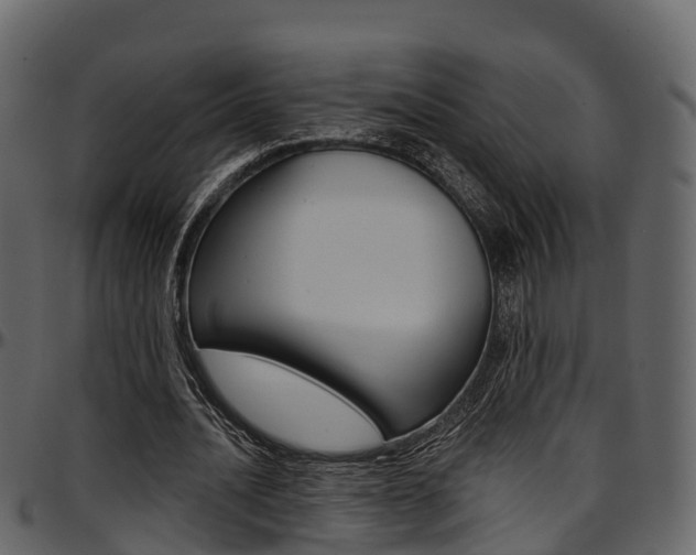 X0000097610628200802290756