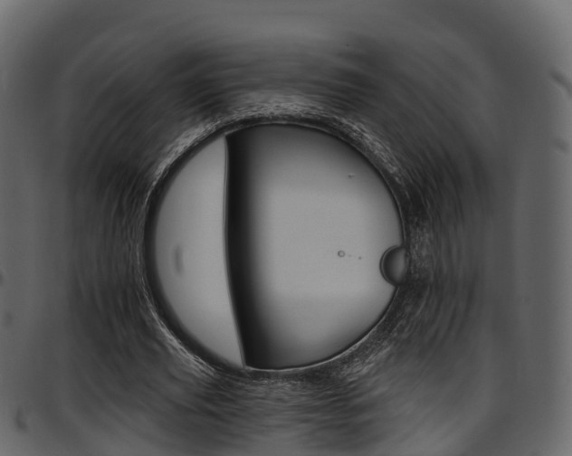 X0000097610629200802290756