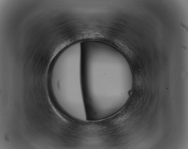 X0000097610630200802290756