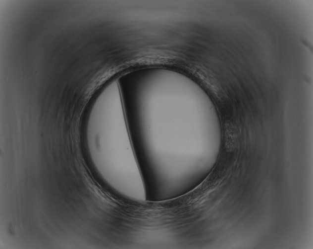 X0000097610631200802290757