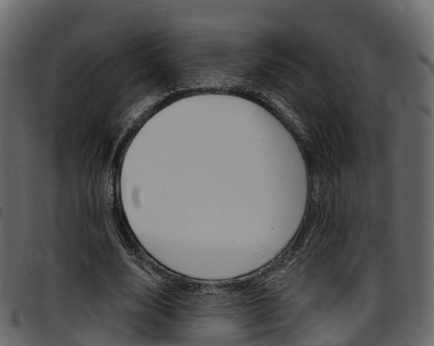 X0000097610632200802290757