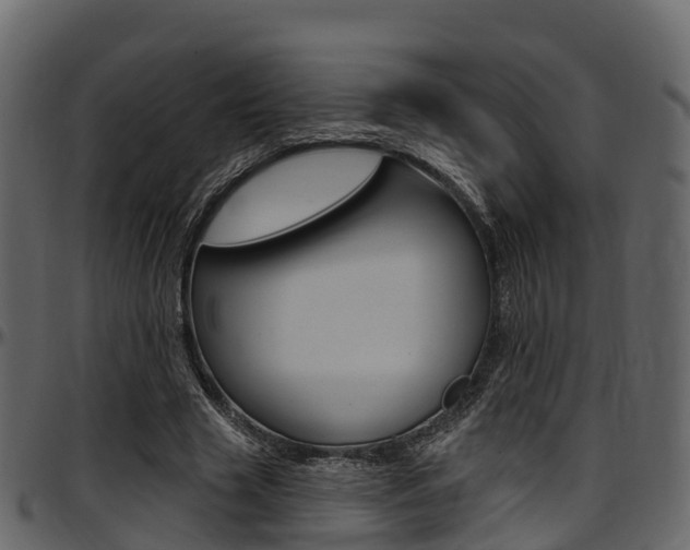 X0000097610633200802290757