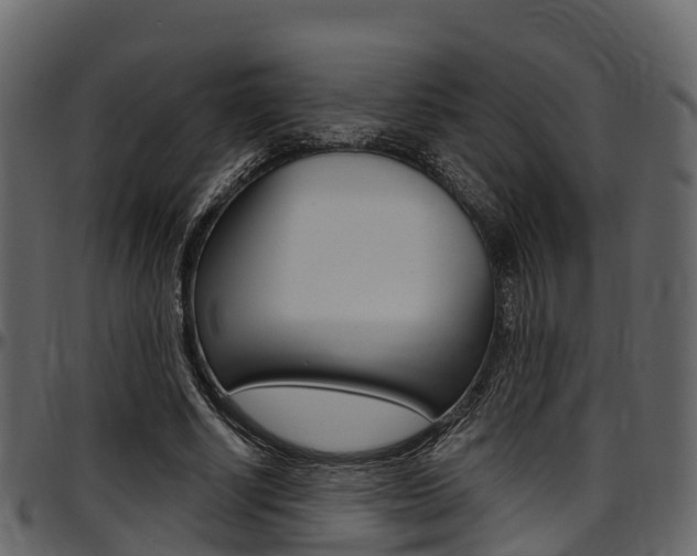 X0000097610634200802290757