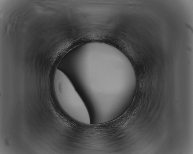 X0000097610635200802290757