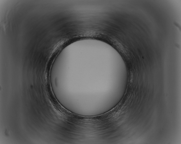 X0000097610636200802290757