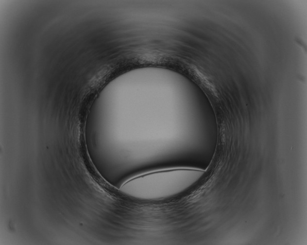X0000097610637200802290757
