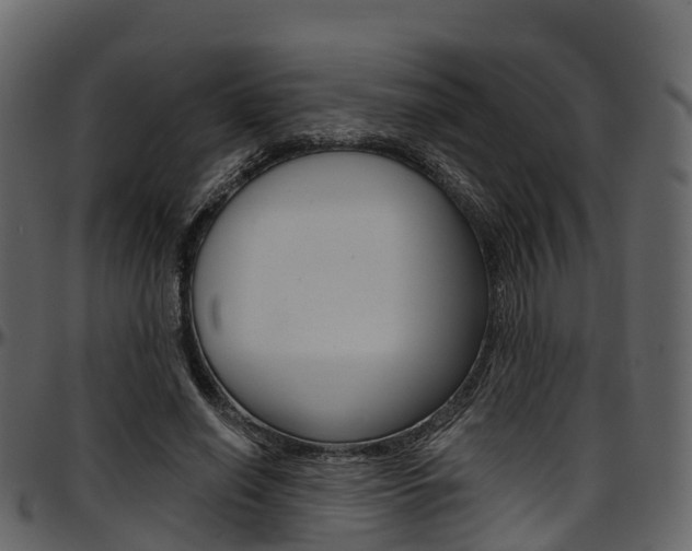 X0000097610638200802290757