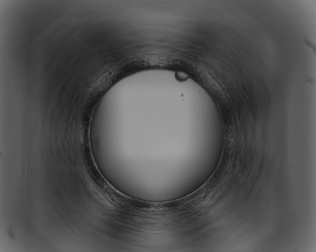 X0000097610639200802290757