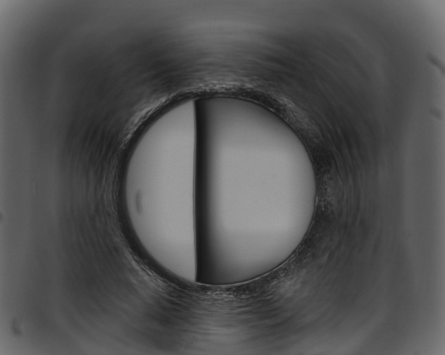 X0000097610640200802290757