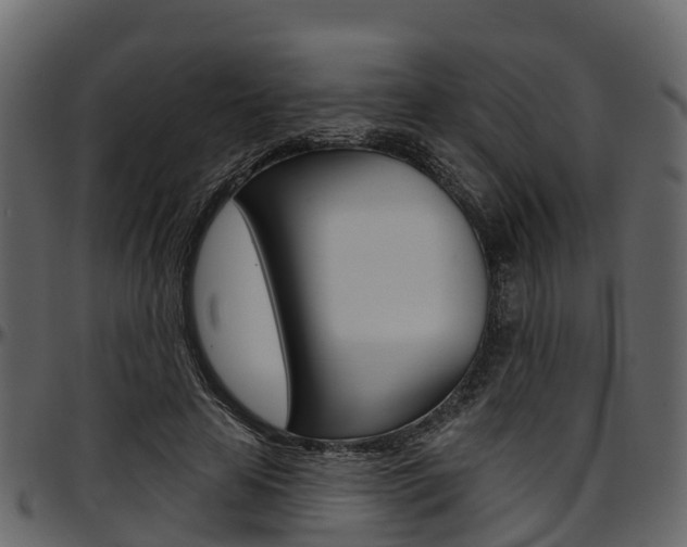 X0000097610641200802290757