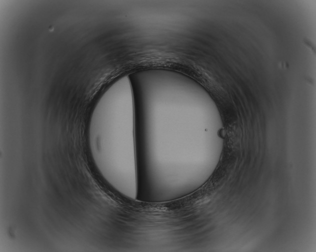 X0000097610642200802290757