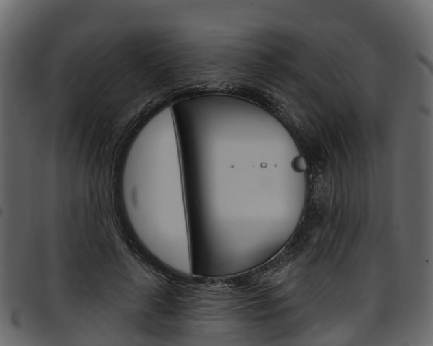 X0000097610643200802290757