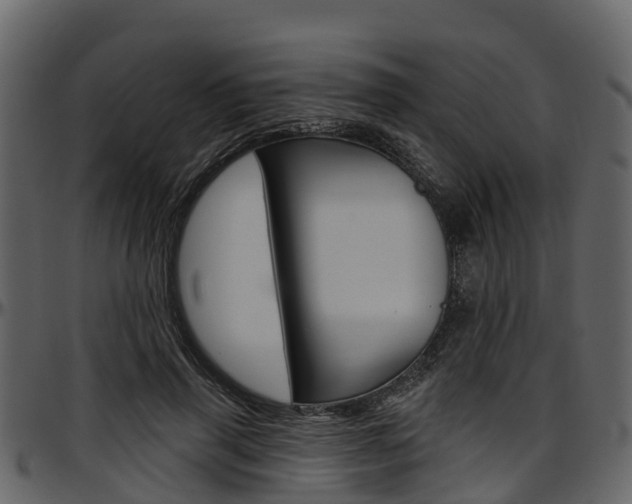 X0000097610645200802290757